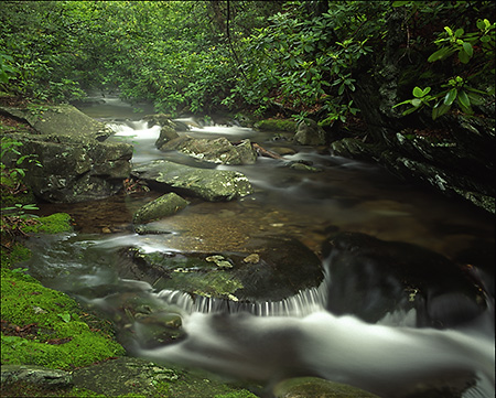 Feeding White Rock Falls, Blue Ridge Parkway, VA